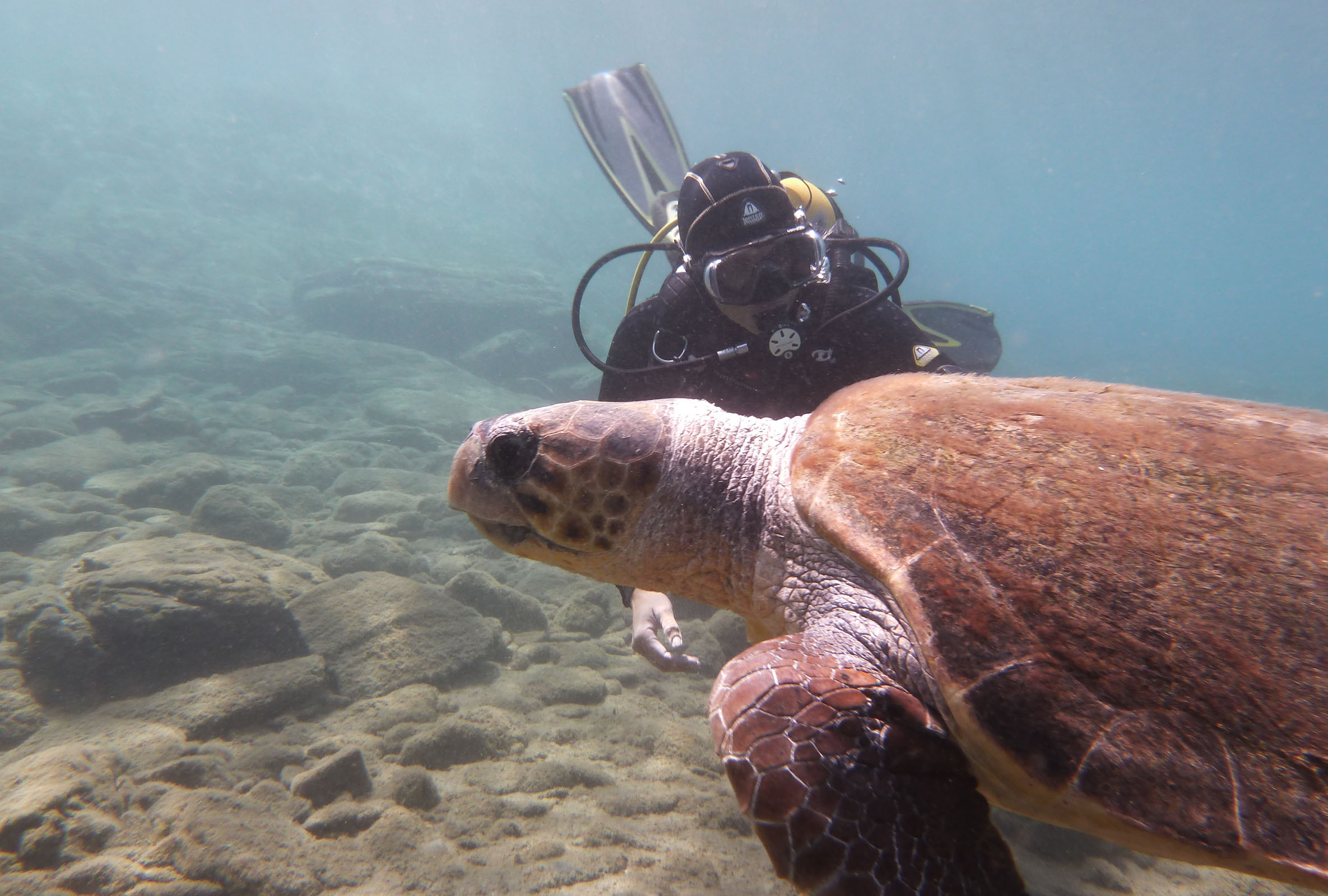 89_aquila_rithymna_beach_gallery_activities_diving